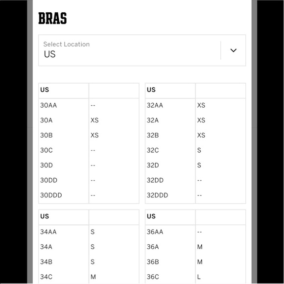 PINK X harness chest padded bra - Picture 6 of 6